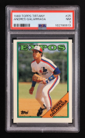 Andres Galarraga 1988 Topps Tiffany #25 (PSA 7) at PristineAuction.com