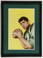 Joe Namath Signed LE Jets Custom Framed Lithograph Display (JSA) at PristineAuction.com