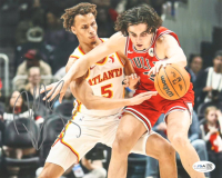Dyson Daniels Signed Hawks 8x10 Photo (JSA) at PristineAuction.com