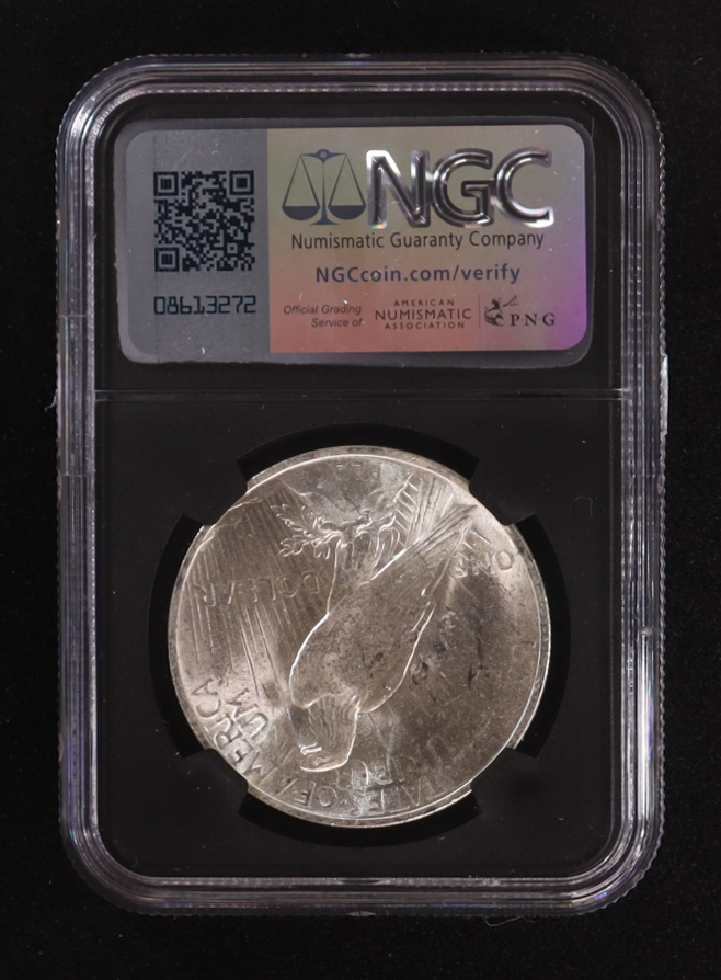 1923 Peace Silver Dollar, Original Bag Fragment Relic (NGC BRILLIANT UNCIRCULATED) - 8145793-084 at PristineAuction.com 1923 Peace Silver Dollar, Original Bag Fragment Relic (NGC BRILLIANT UNCIRCULATED) - 8145793-084 at PristineAuction.com