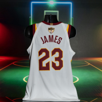LeBron James 2017-18 Cavaliers Nike NBA Finals Game-Used Jersey (Grey Flannel LOA) at PristineAuction.com