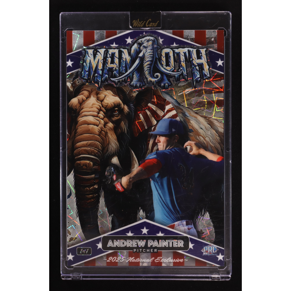 Andrew Painter 2025 Wild Card Alumination Dino-Might Mammoth Oversized Painted Mammoth Disco #DMMMA08AP #1/1 RC at PristineAuction.com