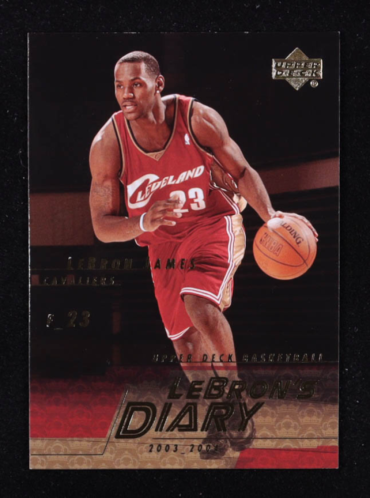 LeBron James 2003-04 Upper Deck LeBron's Diary #LJ14 RC