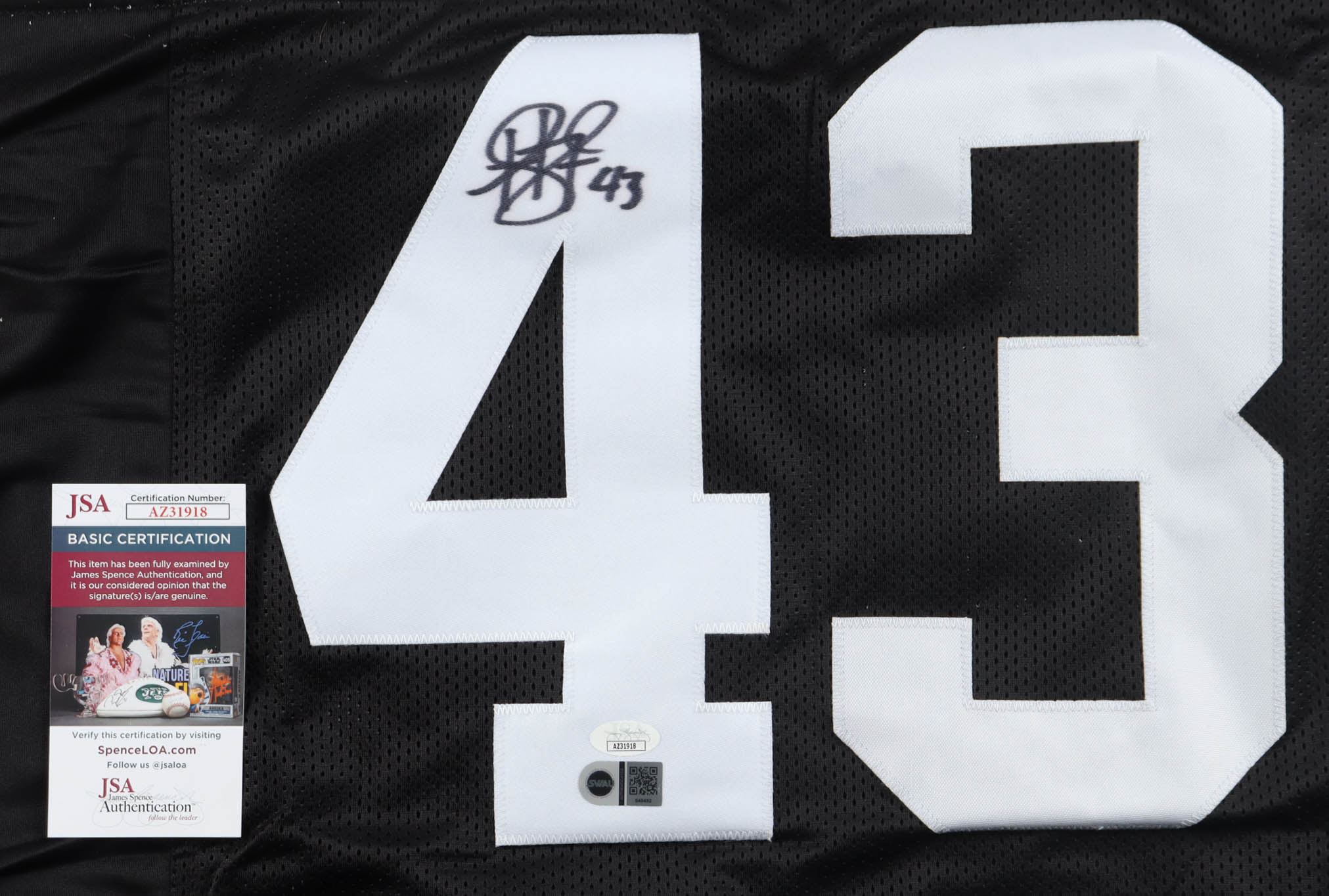 Troy Polamalu Signed Jersey (JSA & SWAU) at PristineAuction.com Troy Polamalu Signed Jersey (JSA & SWAU) at PristineAuction.com