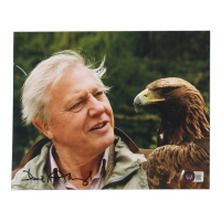 David Attenborough Signed "Planet Earth" 8x10 Photo (Beckett) at PristineAuction.com