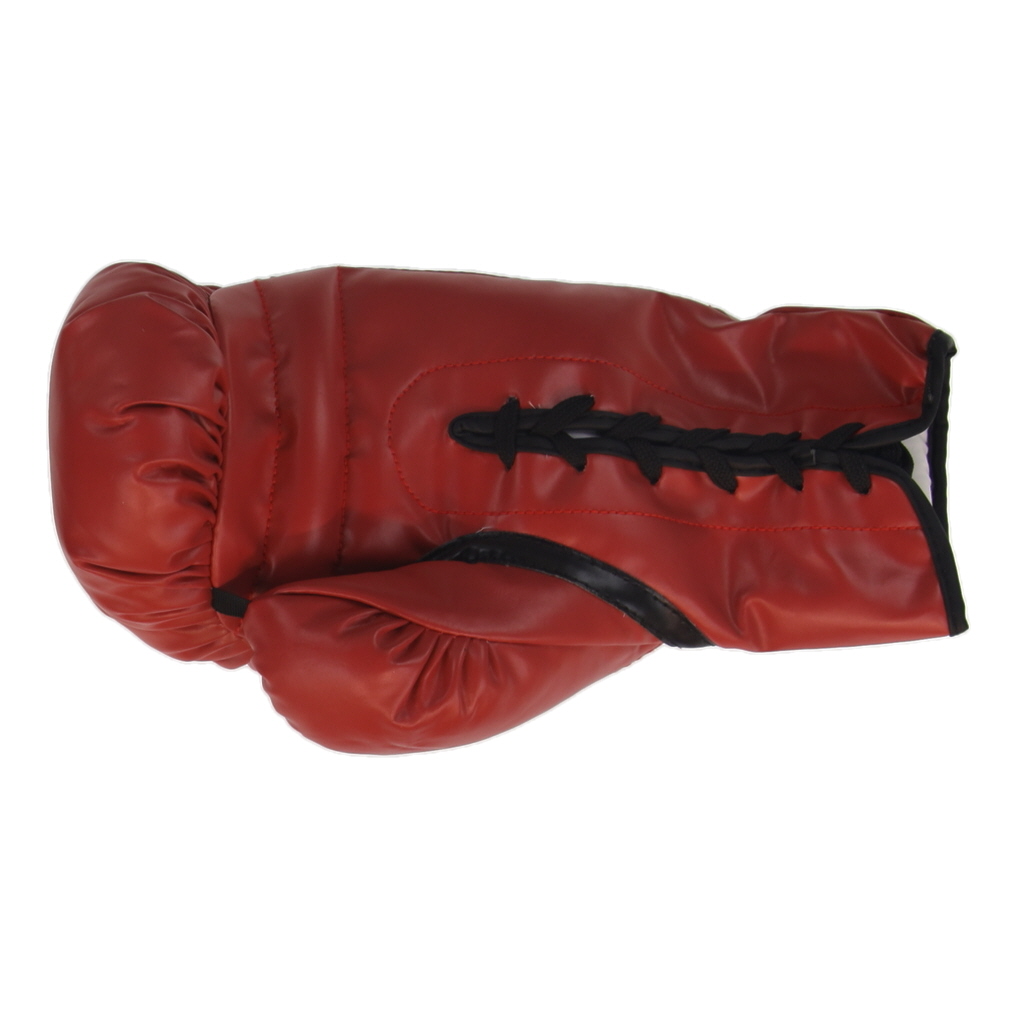 Roy Jones Jr. Signed Everlast Boxing Glove (Schwartz) at PristineAuction.com Roy Jones Jr. Signed Everlast Boxing Glove (Schwartz) at PristineAuction.com