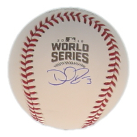 David Ross Signed 2016 World Series Baseball (Schwartz) at PristineAuction.com