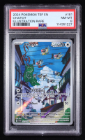 Chatot 2024 Pokemon TCG Scarlet & Violet Temporal Forces #181 (PSA 8) at PristineAuction.com