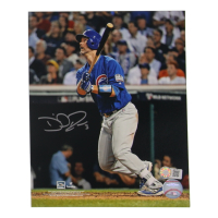 David Ross Signed Cubs 8x10 Photo (Schwartz) at PristineAuction.com