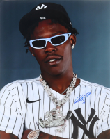 Jazz Chisholm Jr. Signed Yankees 16x20 Photo (JSA) at PristineAuction.com