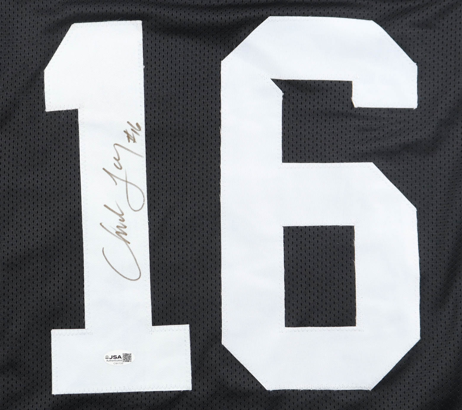 Chuck Long Signed Jersey (JSA) at PristineAuction.com Chuck Long Signed Jersey (JSA) at PristineAuction.com