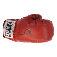 Roy Jones Jr. Signed Everlast Boxing Glove (Schwartz) at PristineAuction.com