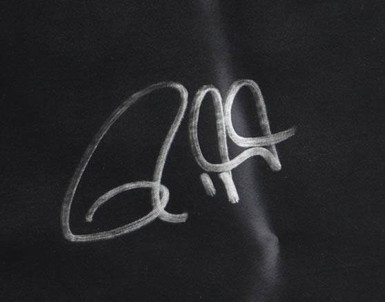 Roy Jones Jr. Signed Title Boxing Trunks (Schwartz) at PristineAuction.com Roy Jones Jr. Signed Title Boxing Trunks (Schwartz) at PristineAuction.com