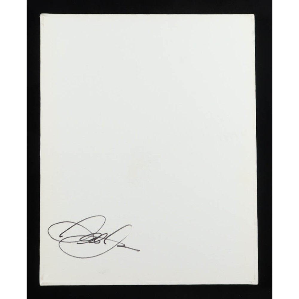 Dale Earnhardt Jr. Signed Canvas Panel (JSA) at PristineAuction.com