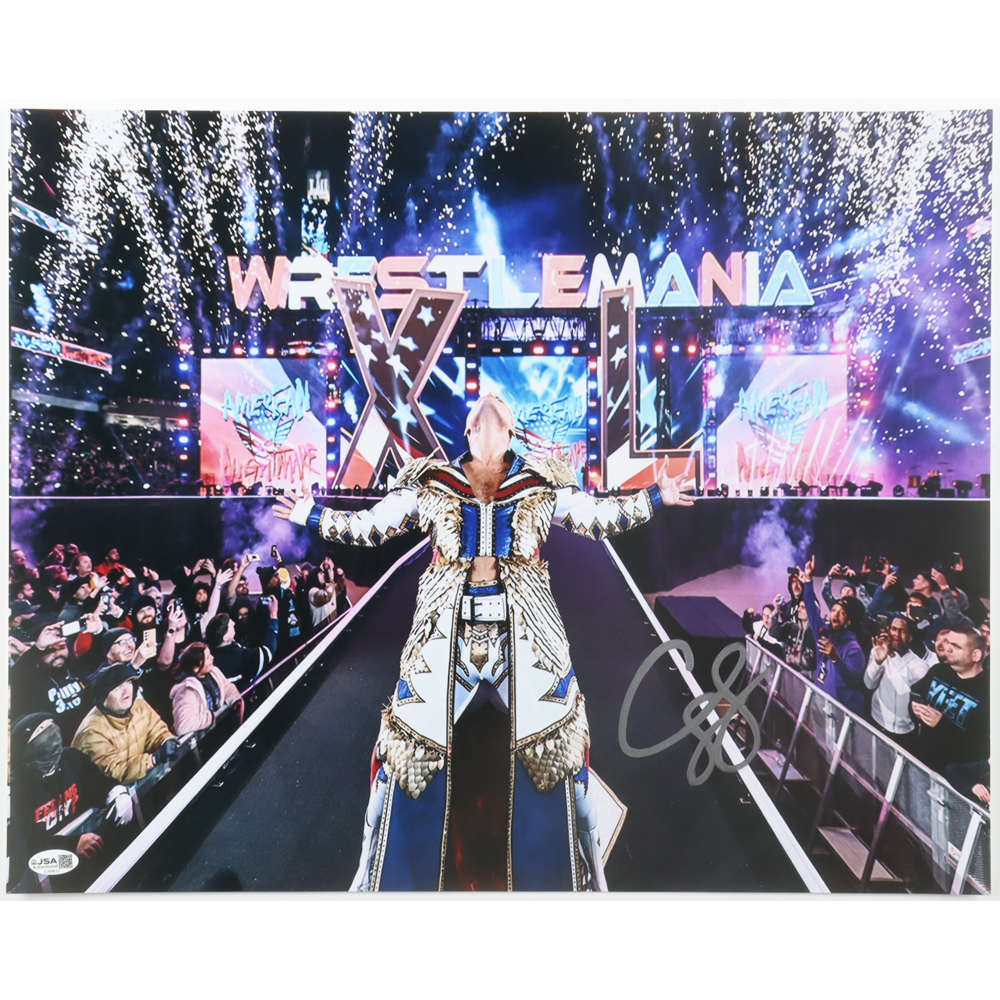 Cody Rhodes Signed WWE 16x20 Photo (JSA) at PristineAuction.com