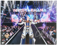 Cody Rhodes Signed WWE 16x20 Photo (JSA) at PristineAuction.com