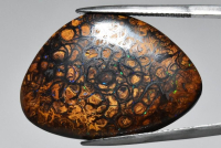 28.46 Carats Natural Boulder Opal Loose at PristineAuction.com