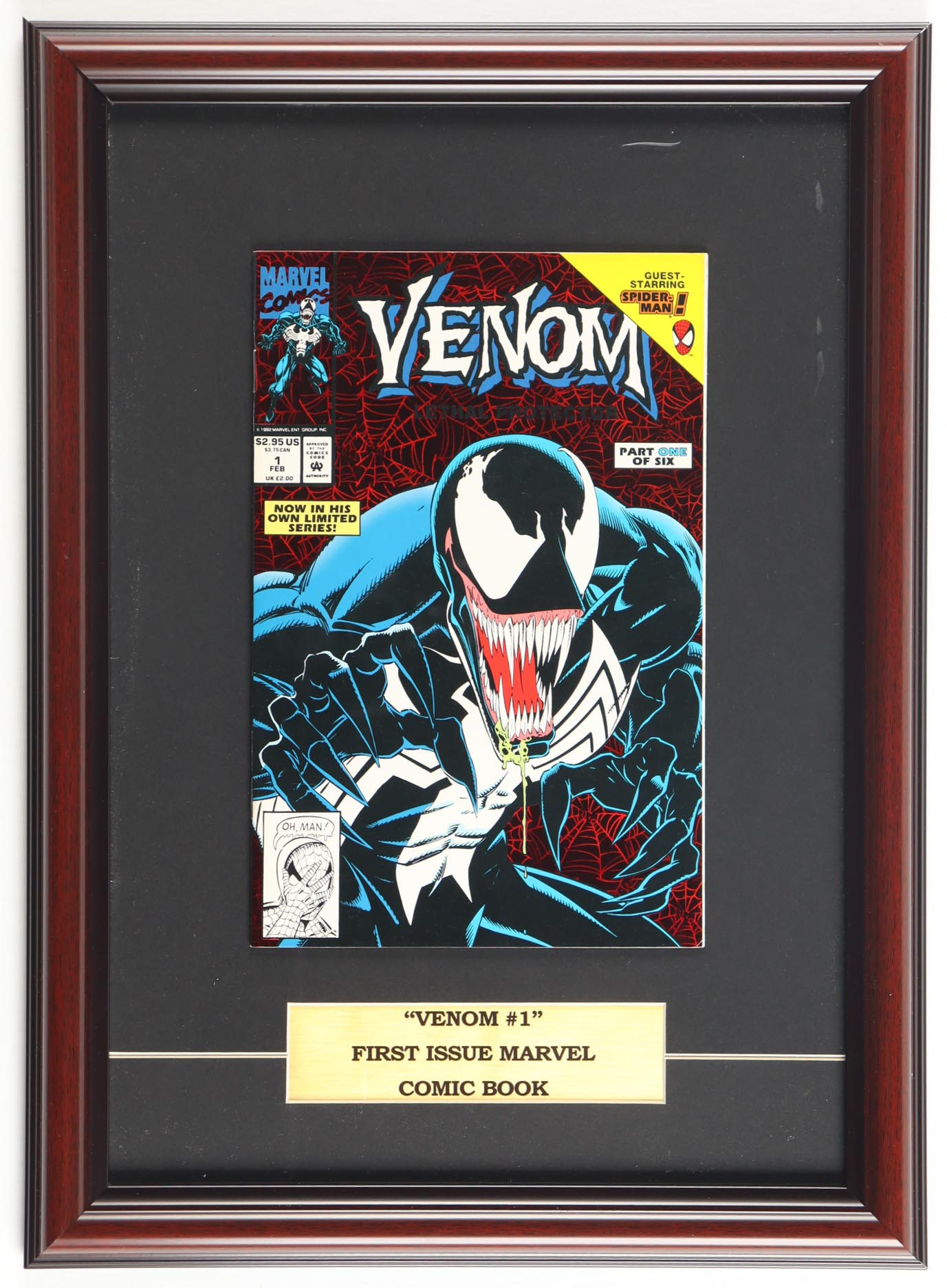 1993 "Venom: Lethal Protector" Issue #1 Marvel Custom Framed Comic Book Display with Title Plaque at PristineAuction.com 1993 "Venom: Lethal Protector" Issue #1 Marvel Custom Framed Comic Book Display with Title Plaque at PristineAuction.com