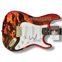 Mike McCready Signed "Temple of the Dog" Custom Stratocaster Guitar (JSA) at PristineAuction.com