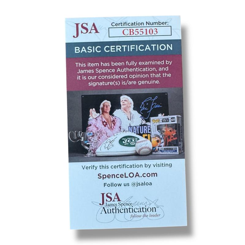 Chris Stapleton Signed Custom Stratocaster Style Guitar (JSA) at PristineAuction.com Chris Stapleton Signed Custom Stratocaster Style Guitar (JSA) at PristineAuction.com