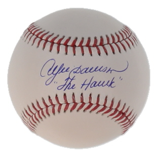 Andre Dawson Signed OML Baseball Inscribed "The Hawk" (JSA) at PristineAuction.com Andre Dawson Signed OML Baseball Inscribed "The Hawk" (JSA) at PristineAuction.com