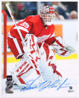 Dominik Hasek Signed Red Wings 8x10 Photo (COJO) at PristineAuction.com