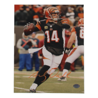 Andy Dalton Signed Bengals 8x10 Photo (Dalton) at PristineAuction.com