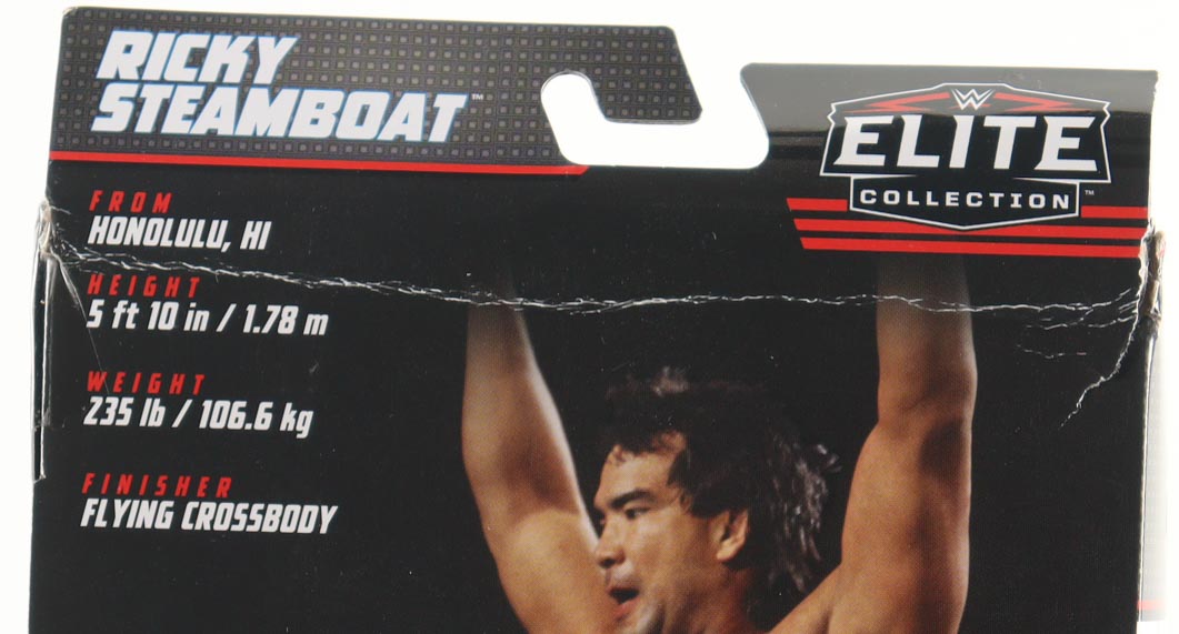 Ricky 'The Dragon' Steamboat Signed WWE Greatest Hits Collection Action Figure Inscribed "HOF 2009" (JSA) at PristineAuction.com Ricky 'The Dragon' Steamboat Signed WWE Greatest Hits Collection Action Figure Inscribed "HOF 2009" (JSA) at PristineAuction.com