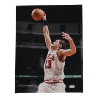 Joakim Noah Signed Bulls 11x14 Photo (PSA) at PristineAuction.com
