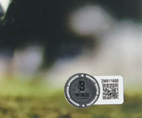 Rod Smith Signed Broncos 11x14 Photo (Beckett) at PristineAuction.com Rod Smith Signed Broncos 11x14 Photo (Beckett) at PristineAuction.com