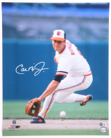 Cal Ripken Jr. Signed Orioles 16x20 Photo (Beckett) at PristineAuction.com