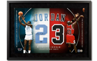 Michael Jordan Signed Custom Framed Jersey Number Display (UDA) at PristineAuction.com