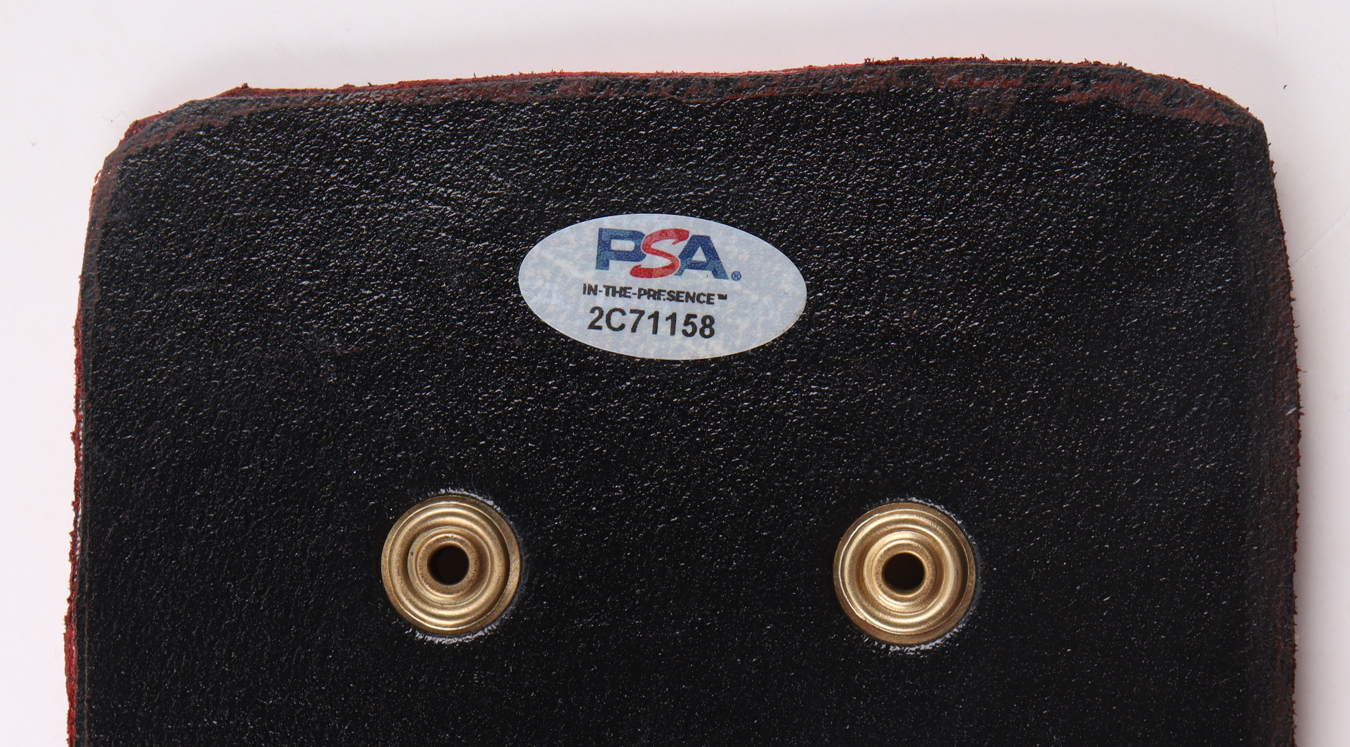 Bill Goldberg Signed WWE Heavywieght Championship Belt Inscribed "Who's Next!" (PSA) at PristineAuction.com Bill Goldberg Signed WWE Heavywieght Championship Belt Inscribed "Who's Next!" (PSA) at PristineAuction.com