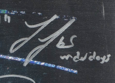 2017 Philadelphia Eagles Super Bowl LII Champions Custom Canvas Display Signed by (20) with Nick Foles, Carl Wentz, A Jeffery, Jake Elliott (JSA) at PristineAuction.com 2017 Philadelphia Eagles Super Bowl LII Champions Custom Canvas Display Signed by (20) with Nick Foles, Carl Wentz, A Jeffery, Jake Elliott (JSA) at PristineAuction.com