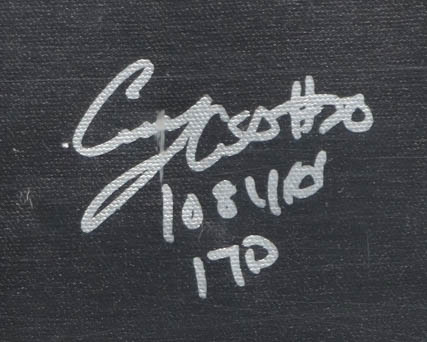 2017 Philadelphia Eagles Super Bowl LII Champions Custom Canvas Display Signed by (20) with Nick Foles, Carl Wentz, A Jeffery, Jake Elliott (JSA) at PristineAuction.com 2017 Philadelphia Eagles Super Bowl LII Champions Custom Canvas Display Signed by (20) with Nick Foles, Carl Wentz, A Jeffery, Jake Elliott (JSA) at PristineAuction.com