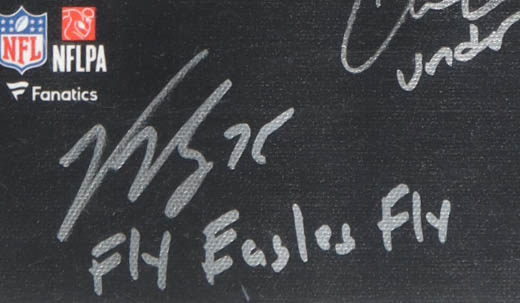 2017 Philadelphia Eagles Super Bowl LII Champions Custom Canvas Display Signed by (20) with Nick Foles, Carl Wentz, A Jeffery, Jake Elliott (JSA) at PristineAuction.com 2017 Philadelphia Eagles Super Bowl LII Champions Custom Canvas Display Signed by (20) with Nick Foles, Carl Wentz, A Jeffery, Jake Elliott (JSA) at PristineAuction.com