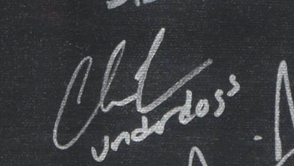 2017 Philadelphia Eagles Super Bowl LII Champions Custom Canvas Display Signed by (20) with Nick Foles, Carl Wentz, A Jeffery, Jake Elliott (JSA) at PristineAuction.com 2017 Philadelphia Eagles Super Bowl LII Champions Custom Canvas Display Signed by (20) with Nick Foles, Carl Wentz, A Jeffery, Jake Elliott (JSA) at PristineAuction.com