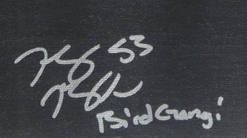 2017 Philadelphia Eagles Super Bowl LII Champions Custom Canvas Display Signed by (20) with Nick Foles, Carl Wentz, A Jeffery, Jake Elliott (JSA) at PristineAuction.com 2017 Philadelphia Eagles Super Bowl LII Champions Custom Canvas Display Signed by (20) with Nick Foles, Carl Wentz, A Jeffery, Jake Elliott (JSA) at PristineAuction.com