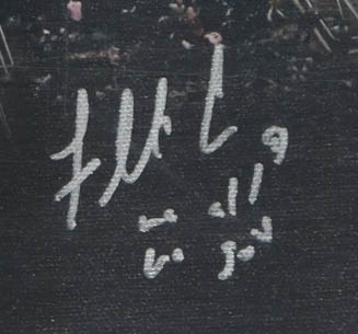 2017 Philadelphia Eagles Super Bowl LII Champions Custom Canvas Display Signed by (20) with Nick Foles, Carl Wentz, A Jeffery, Jake Elliott (JSA) at PristineAuction.com 2017 Philadelphia Eagles Super Bowl LII Champions Custom Canvas Display Signed by (20) with Nick Foles, Carl Wentz, A Jeffery, Jake Elliott (JSA) at PristineAuction.com