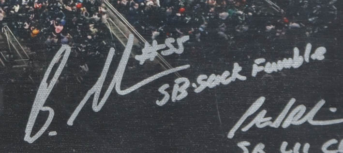 2017 Philadelphia Eagles Super Bowl LII Champions Custom Canvas Display Signed by (20) with Nick Foles, Carl Wentz, A Jeffery, Jake Elliott (JSA) at PristineAuction.com 2017 Philadelphia Eagles Super Bowl LII Champions Custom Canvas Display Signed by (20) with Nick Foles, Carl Wentz, A Jeffery, Jake Elliott (JSA) at PristineAuction.com