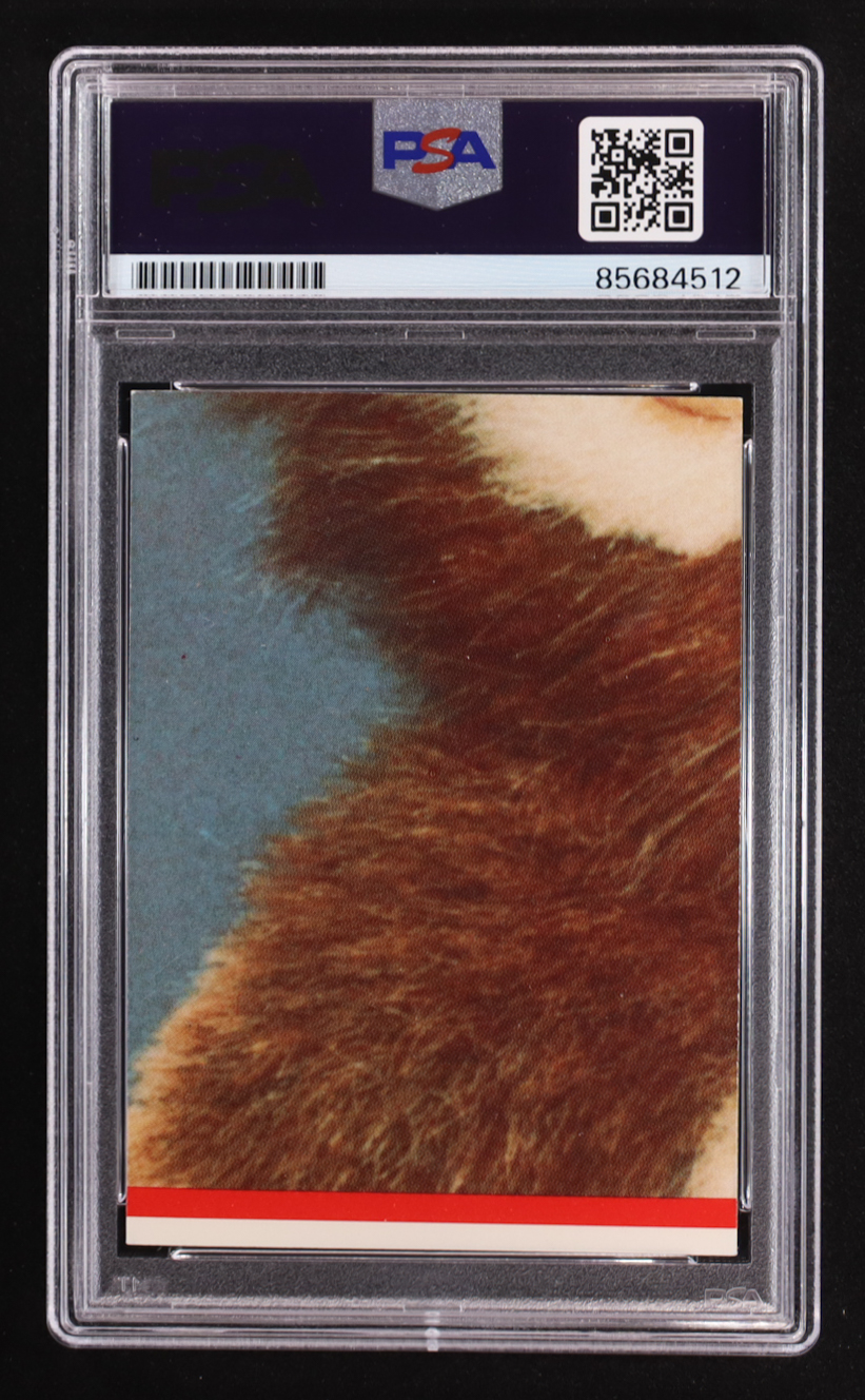 Joe Dante Signed 1984 Gremlins Trading Card #9 (PSA) at PristineAuction.com Joe Dante Signed 1984 Gremlins Trading Card #9 (PSA) at PristineAuction.com