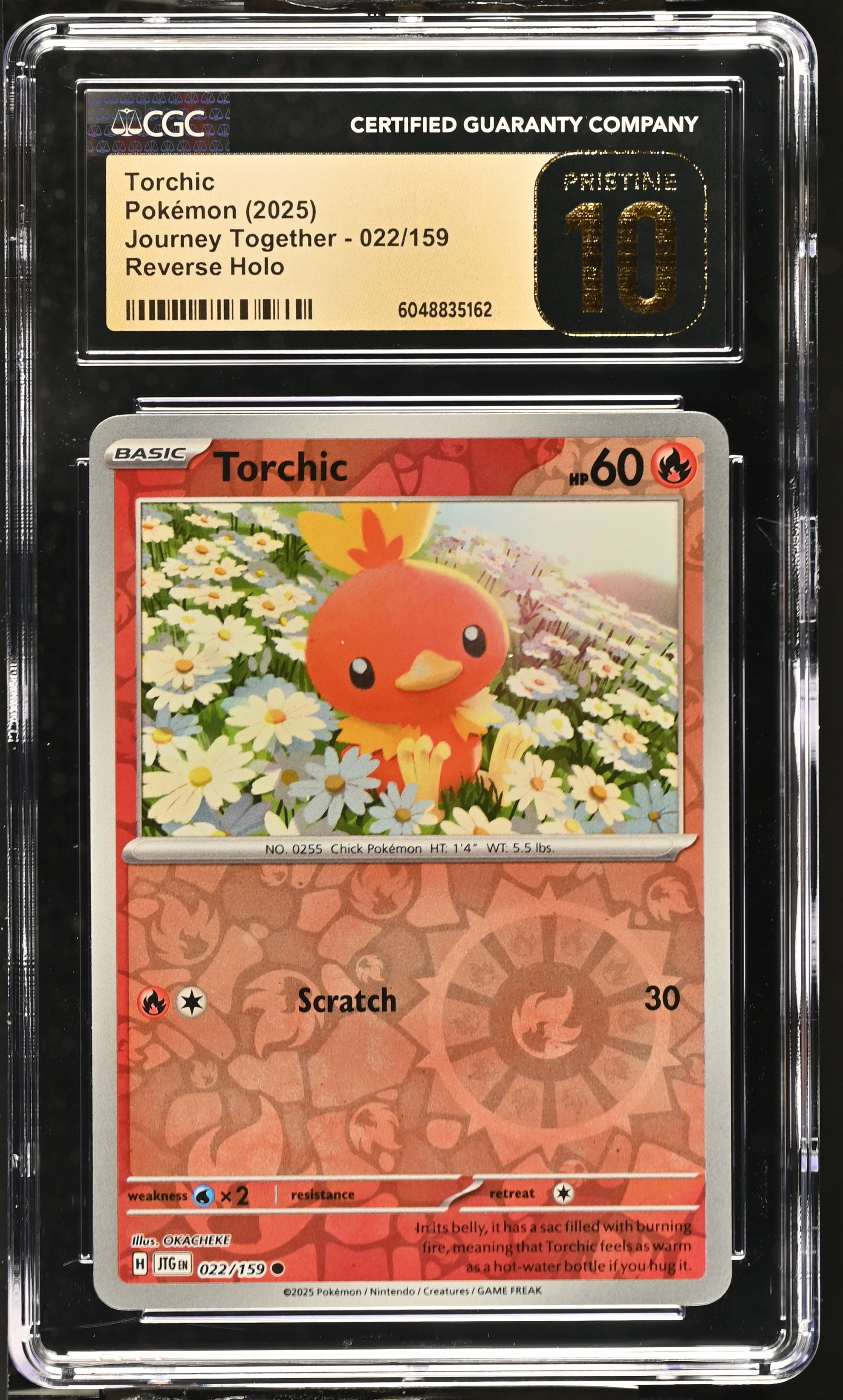 Torchic 2025 Pokemon Journey Together #022/159 (CGC PRISTINE 10 | Black Label) at PristineAuction.com Torchic 2025 Pokemon Journey Together #022/159 (CGC PRISTINE 10 | Black Label) at PristineAuction.com