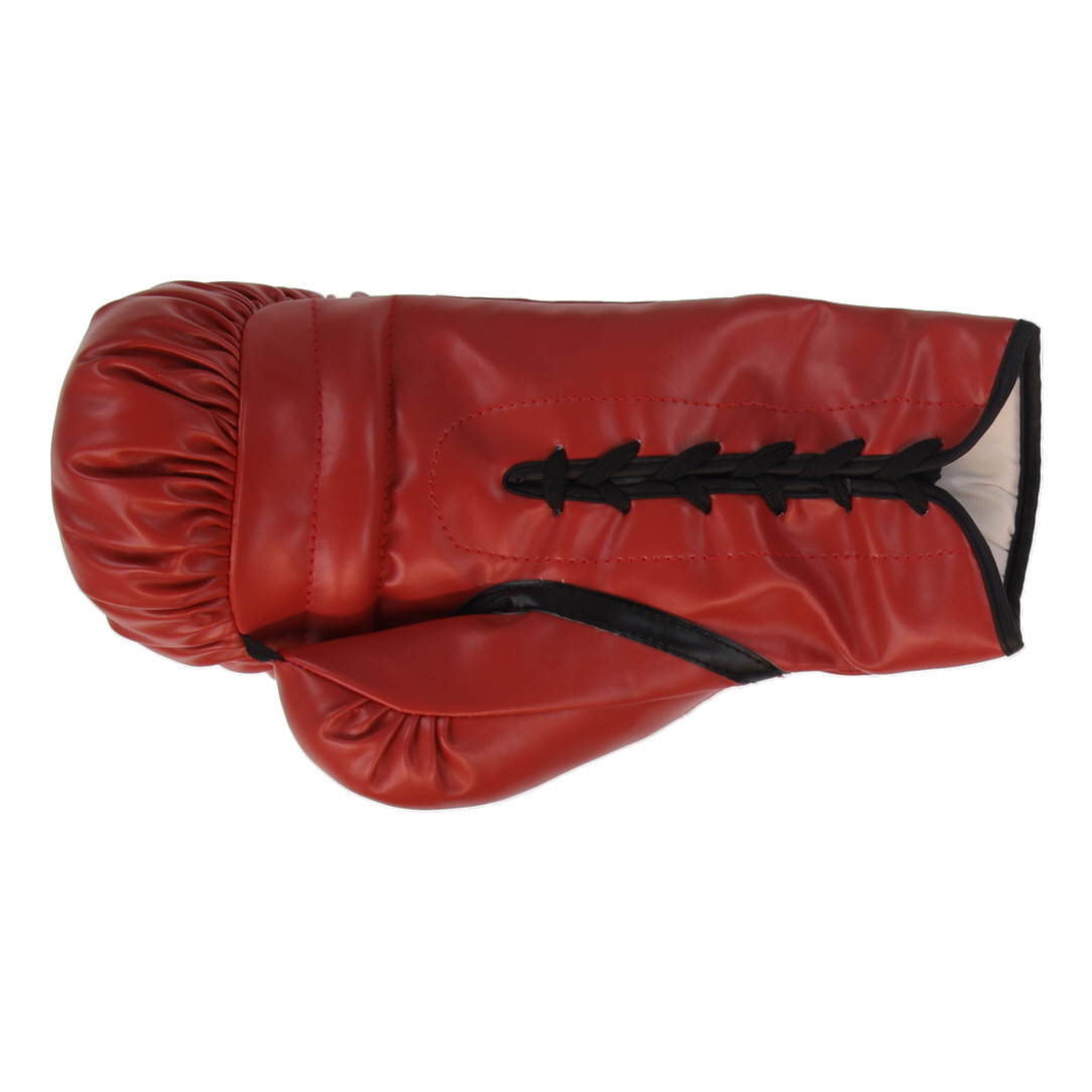 Mike Tyson Signed Everlast Boxing Glove (Tyson) at PristineAuction.com Mike Tyson Signed Everlast Boxing Glove (Tyson) at PristineAuction.com