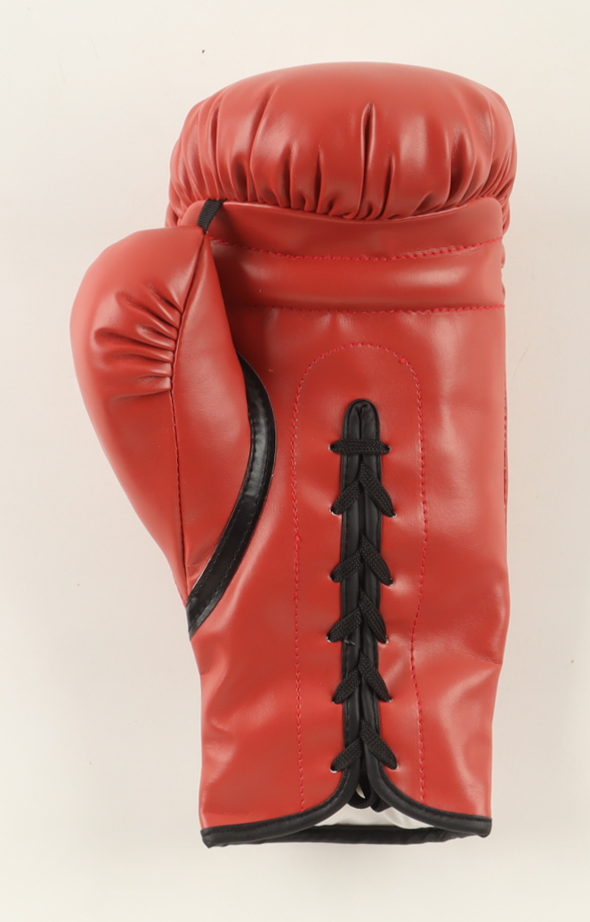 Larry Holmes Signed Everlast Model Boxing Glove (JSA) at PristineAuction.com Larry Holmes Signed Everlast Model Boxing Glove (JSA) at PristineAuction.com