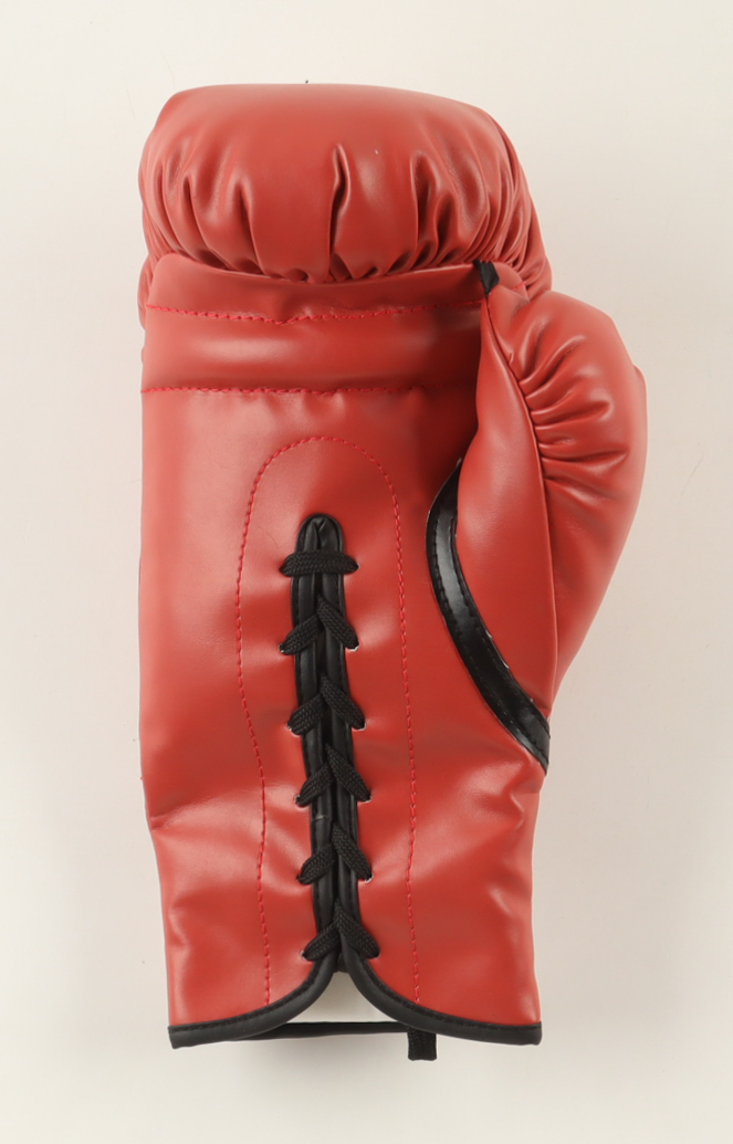 Larry Holmes Signed Everlast Model Boxing Glove (JSA) at PristineAuction.com Larry Holmes Signed Everlast Model Boxing Glove (JSA) at PristineAuction.com