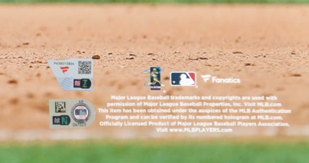 Paul Goldschmidt Signed Cardinals 16x20 Photo (MLB & Fanatics) at PristineAuction.com Paul Goldschmidt Signed Cardinals 16x20 Photo (MLB & Fanatics) at PristineAuction.com