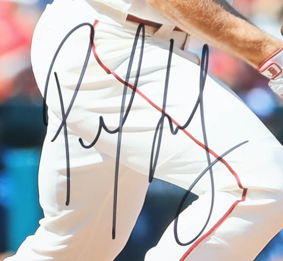 Paul Goldschmidt Signed Cardinals 16x20 Photo (MLB & Fanatics) at PristineAuction.com Paul Goldschmidt Signed Cardinals 16x20 Photo (MLB & Fanatics) at PristineAuction.com