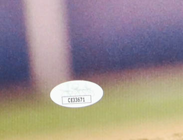 Rich "Goose" Gossage Signed Yankees 16x20 Photo with Multiple Career Inscriptions (JSA) at PristineAuction.com Rich "Goose" Gossage Signed Yankees 16x20 Photo with Multiple Career Inscriptions (JSA) at PristineAuction.com