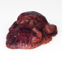 43.33 Carats Natural Ruby Carving of a Frog at PristineAuction.com
