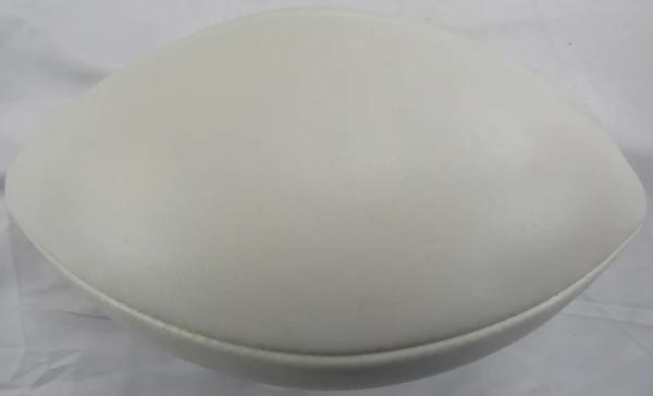 Gale Sayers Signed NFL Football (JSA) at PristineAuction.com Gale Sayers Signed NFL Football (JSA) at PristineAuction.com